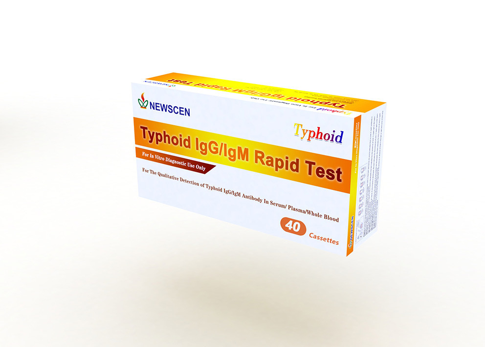 Infectious Disease 30ul Plasma Typhoid IgG IgM Rapid Test